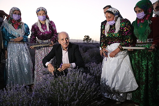Türkiye'de Lavanta Hasadını Kurtulmuş Başlattı