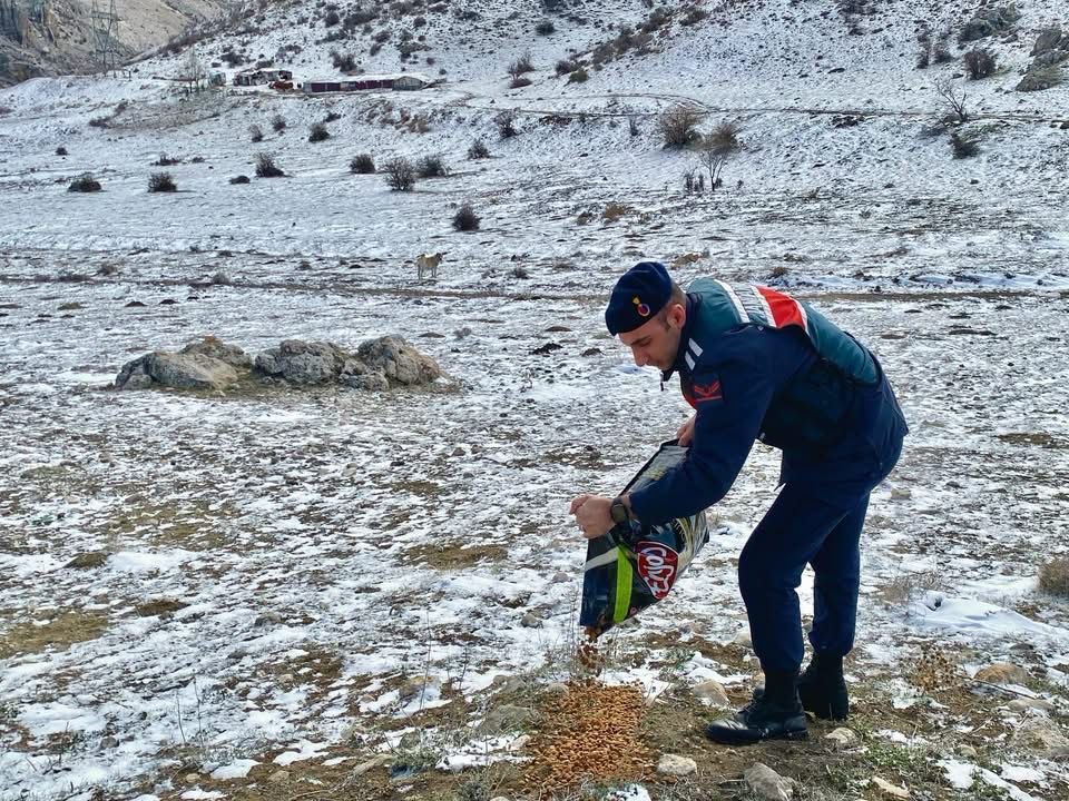 Tatarlı Jandarma Karakol Komutanlığından İyilik Haftası Kapsamında Anlamlı Faaliyetler! 
