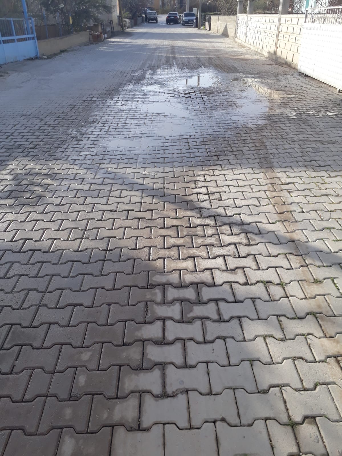 Uğur Yıldırım Muhtarı ve Belediye’yi Göreve Çağırdı