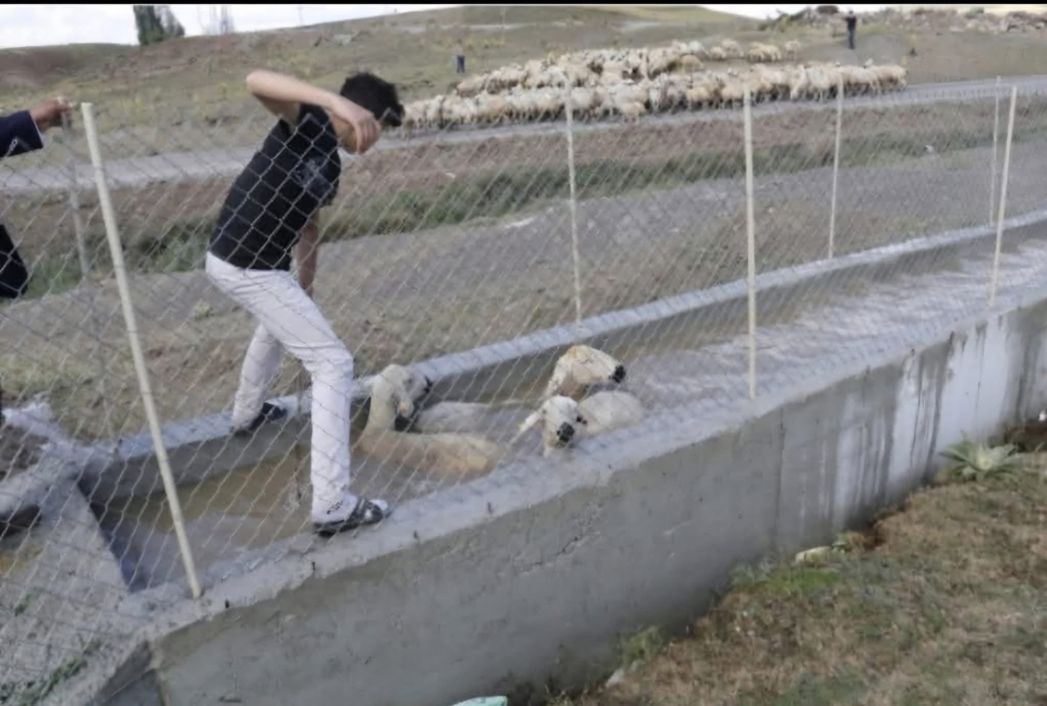Dinar’da Küçükbaş Yıkama Ünitesi Projesi İçin Saha Çalışmaları Başladı