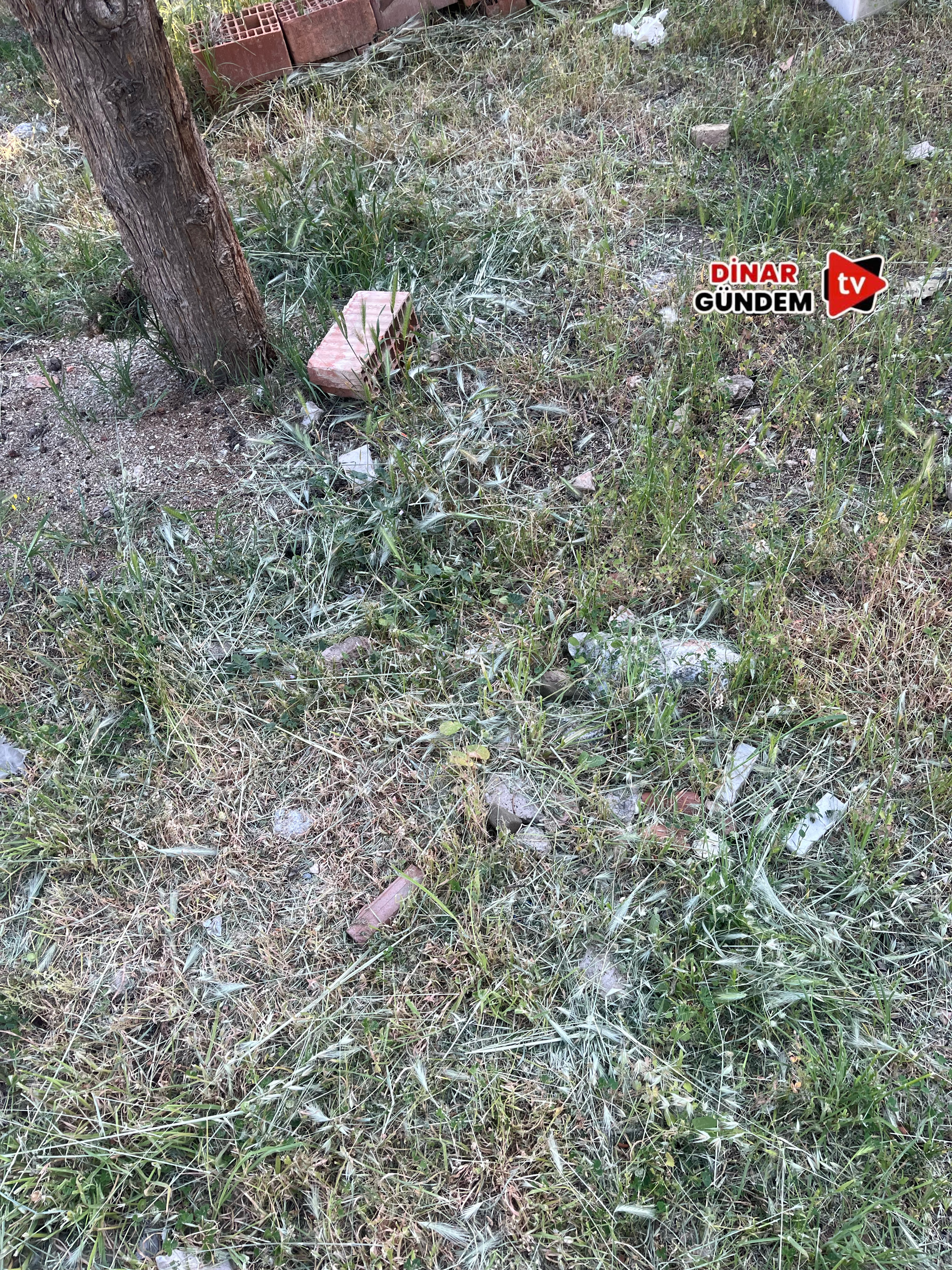 Dinar Asri Mezarlığı’nda Ziyaretçi İsyanı: Otlar Diz Boyunu Aştı!