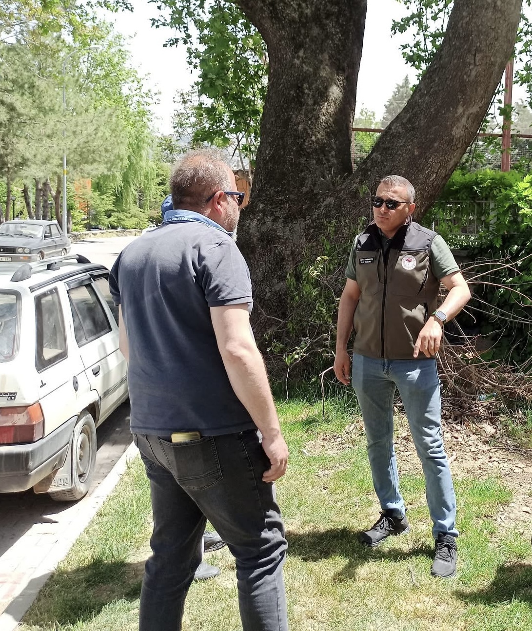 Dinar’da Anıt Ağaçlar Koruma Altına Alınıyor