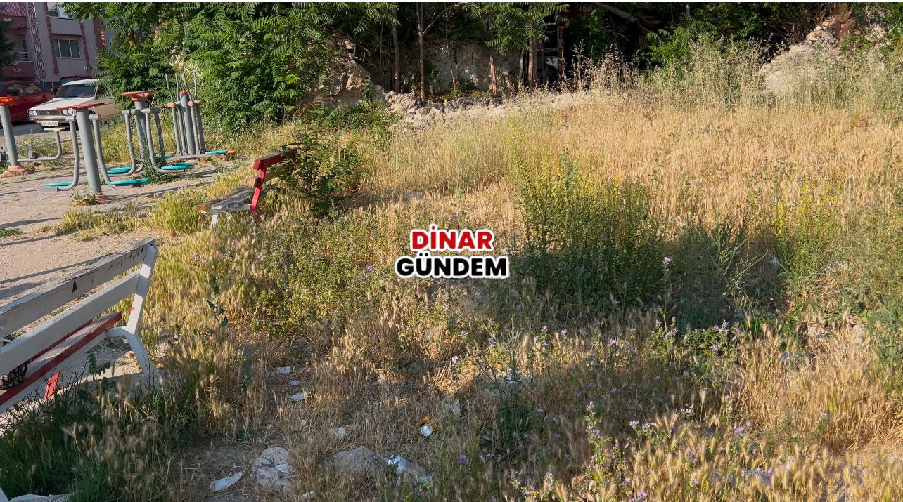 “Pazar Mahallesi Temizlendi” Haberi Tartışma Yarattı: Mahalle Sakinlerinden Tepki!