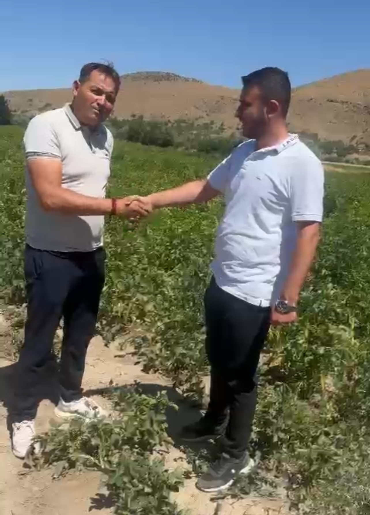 Dinar Çölovası’nda Patates Bereketi: Kınık Köyü