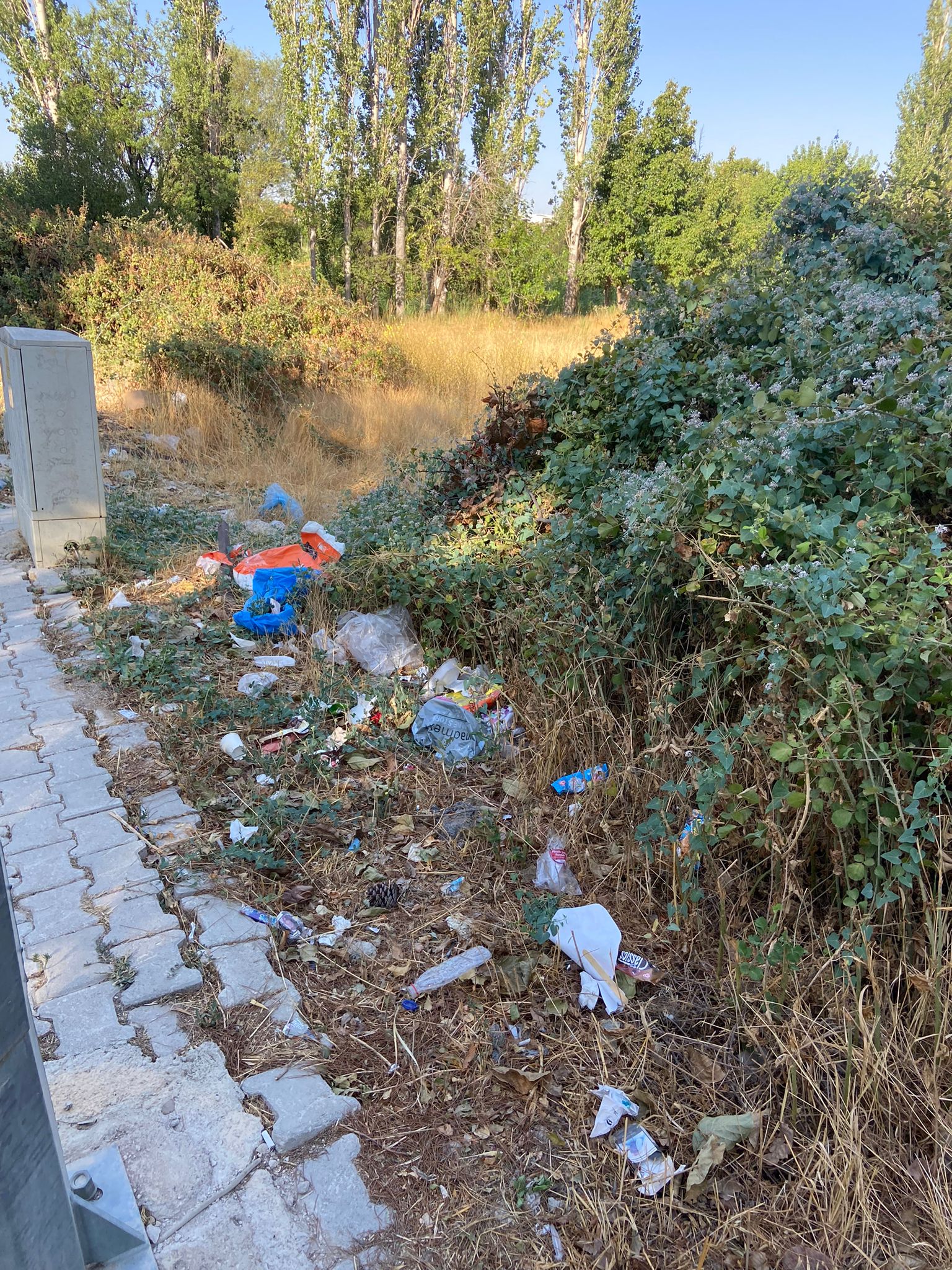 Dinar'da Çöp Sorunu Gündemden Düşmüyor