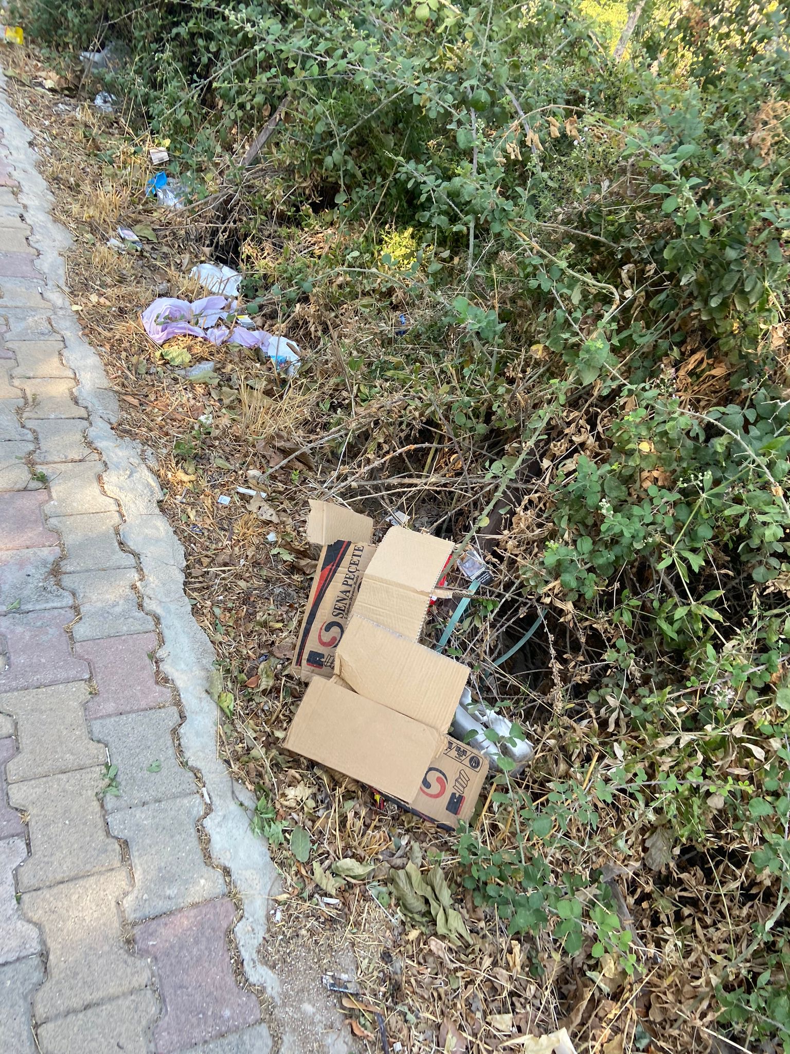 Dinar'da Çöp Sorunu Gündemden Düşmüyor
