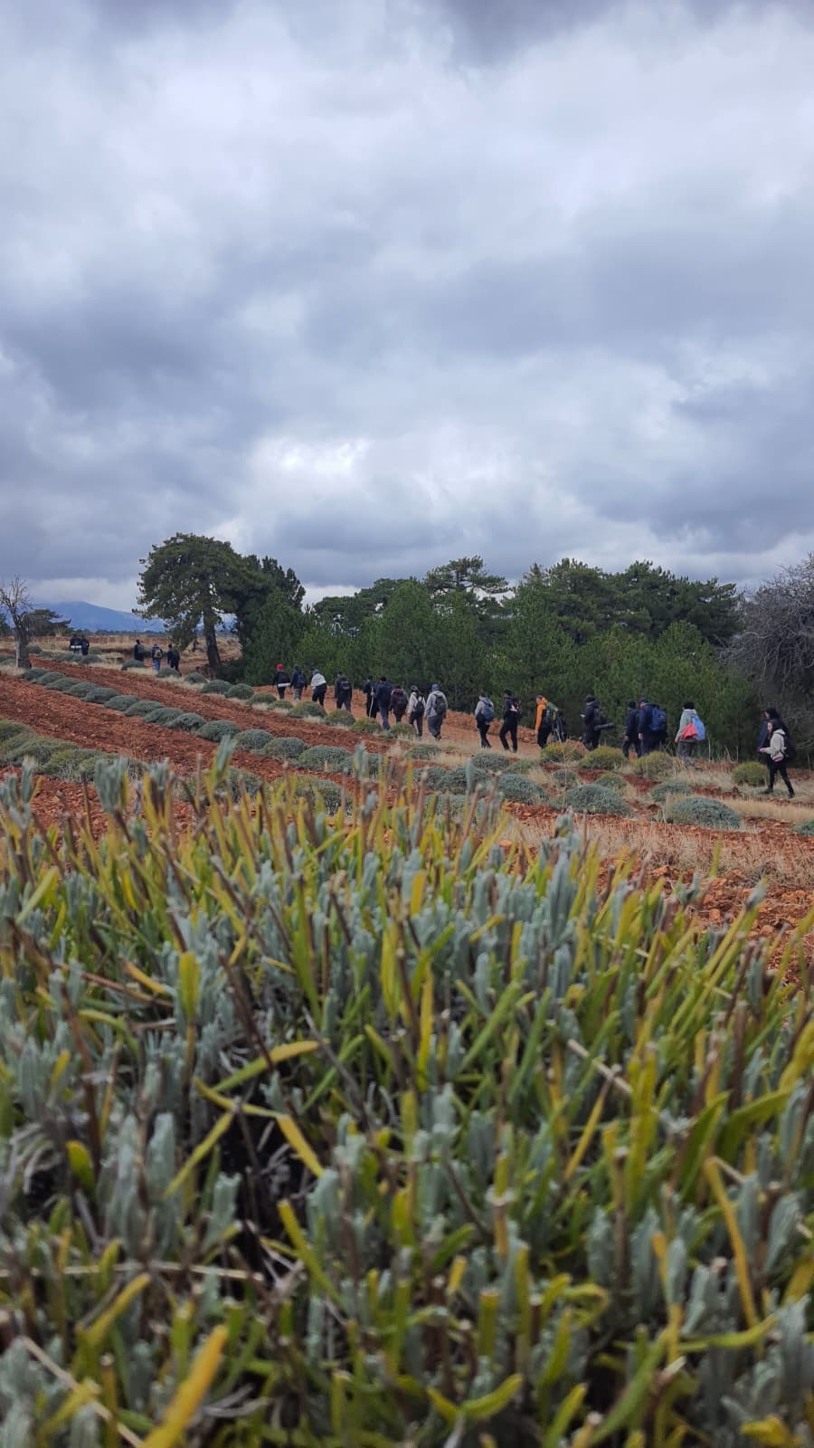 Dinar Doğa Sporları Grubu ve Sandıklı Doğa Sporları Grubu'nun Anma Etkinliği