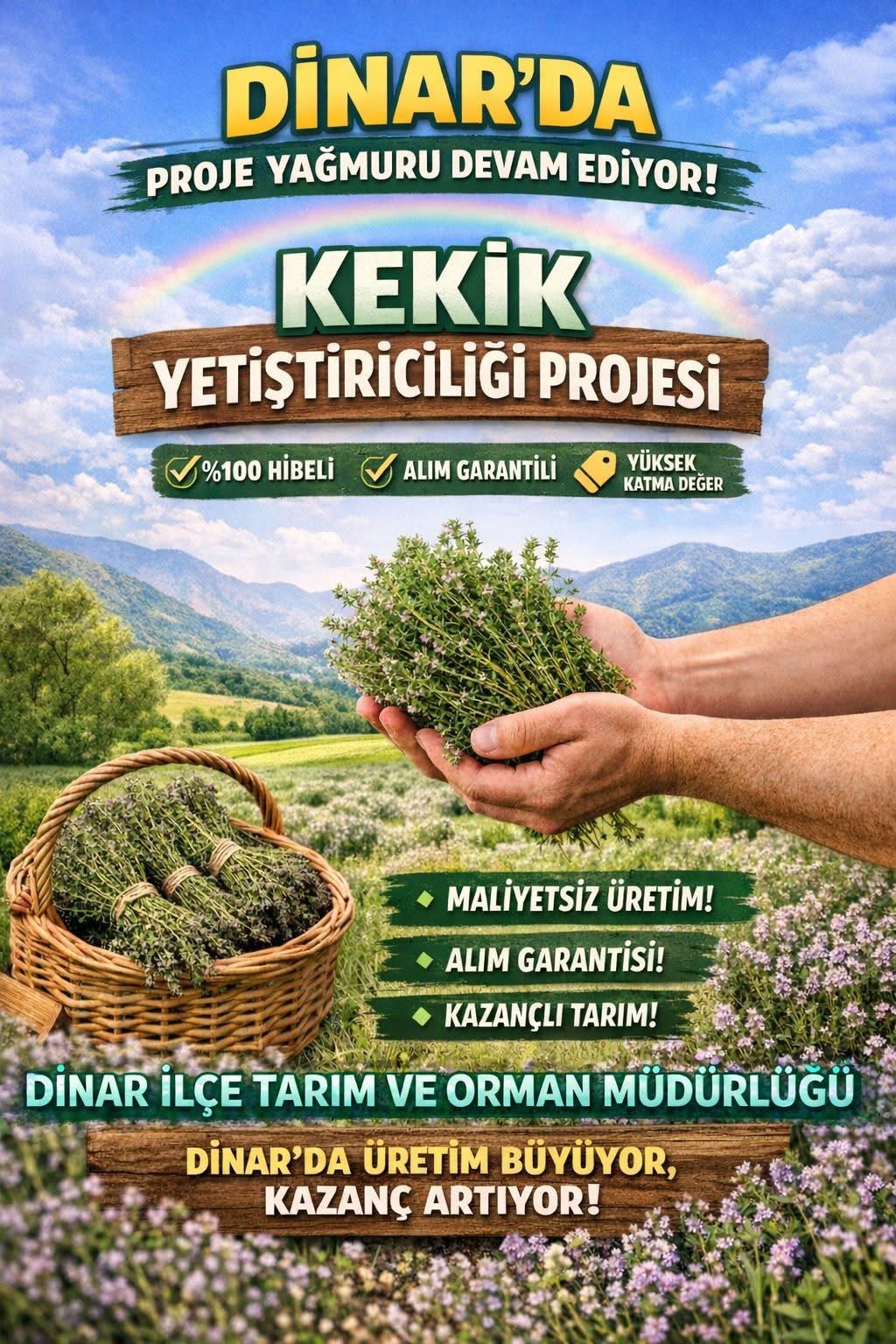 Dinar’da Kekik Yetiştiriciliği Projesi Başlıyor: Üreticiye %100 Hibe ve Alım Garantisi