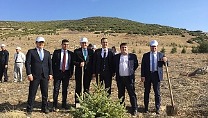 Dinar Adalet Ormanına  500 Karacam Dikildi