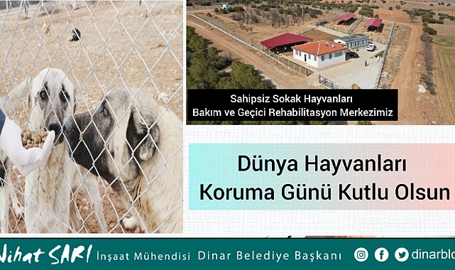 Belediye Başkanı Nihat Sarı’dan Dünya Hayvanları Koruma Günü Mesajı