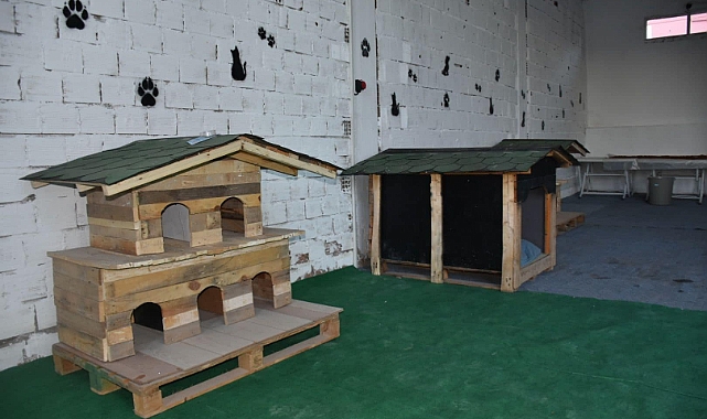 Pet Cafe ve Mama Üretim Tesisimiz Açılıyor