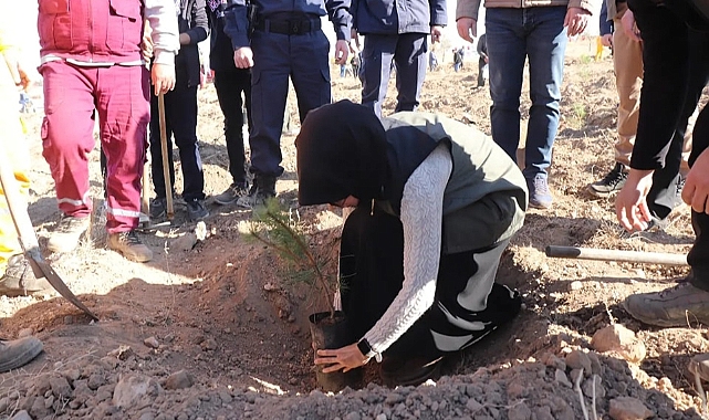 Kaymakamımız Sayın Zeliha Uz Akarca Köyünde Fidan Dikti