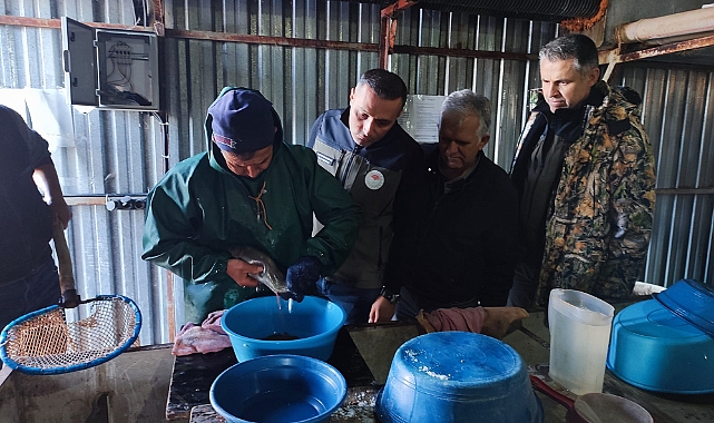 Tarım Müdürü Karakuyu Yapağlı Köyünde İnceleme Yaptı