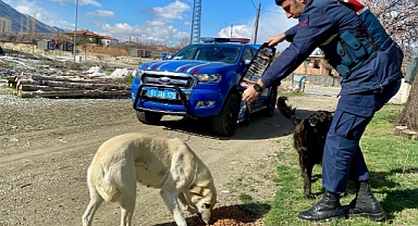 Tatarlı Jandarma Karakol Komutanlığından İyilik Haftası Kapsamında Anlamlı Faaliyetler! 