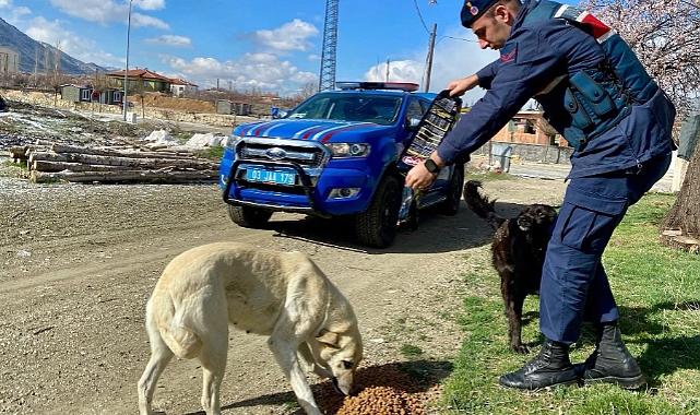 Tatarlı Jandarma Karakol Komutanlığından İyilik Haftası Kapsamında Anlamlı Faaliyetler! 