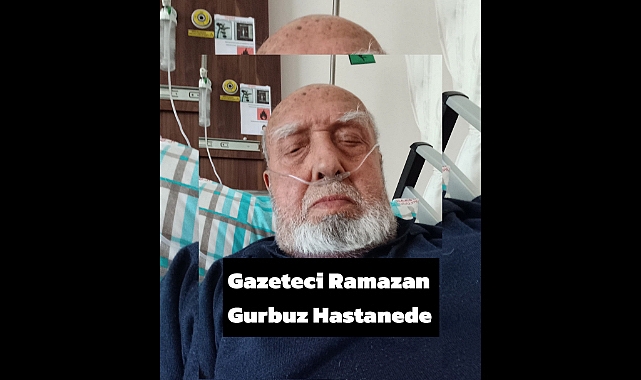 Teşekkür Mesajı