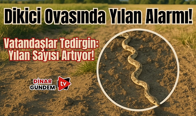 Dikici Ovası’nda Yılan Alarmı: Vatandaşlar Tedirgin! 