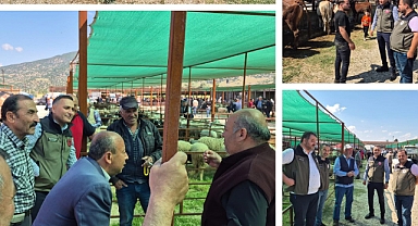 DİNAR KURBAN BAYRAMINA HAZIR!
