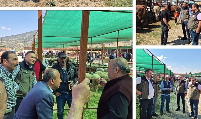DİNAR KURBAN BAYRAMINA HAZIR!